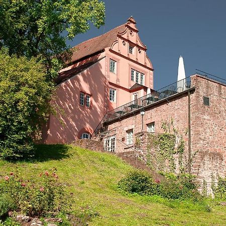 Schlosshotel ヒルシュホルン エクステリア 写真